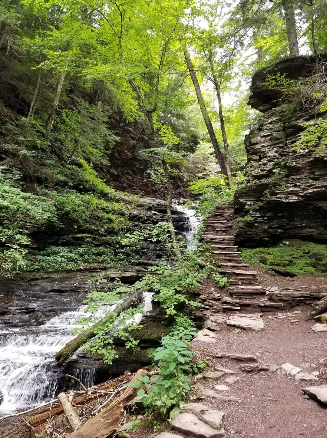 We found more than just waterfalls Knocking Around Ricketts Glen State